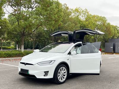 2018年3月 特斯拉 Model X Model X 100D 長續(xù)航版圖片