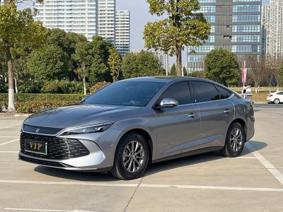 2024年6月 比亞迪 秦L DM-i 80KM領(lǐng)先型圖片