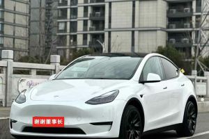 Model Y 特斯拉 Performance高性能全輪驅(qū)動(dòng)版