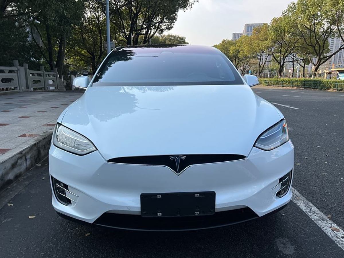 特斯拉 Model X  2017款 Model X 100D 長續(xù)航版圖片