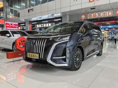 2023年3月 騰勢(shì) 騰勢(shì)D9 EV 600 四驅(qū)旗艦型圖片