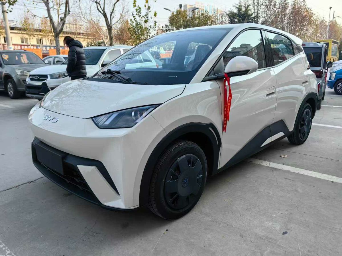 比亞迪 宋L DM-i  2024款 112km 超越型圖片