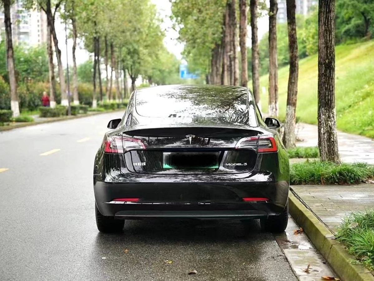 特斯拉 Model 3  2021款 改款 標準續(xù)航后驅(qū)升級版圖片