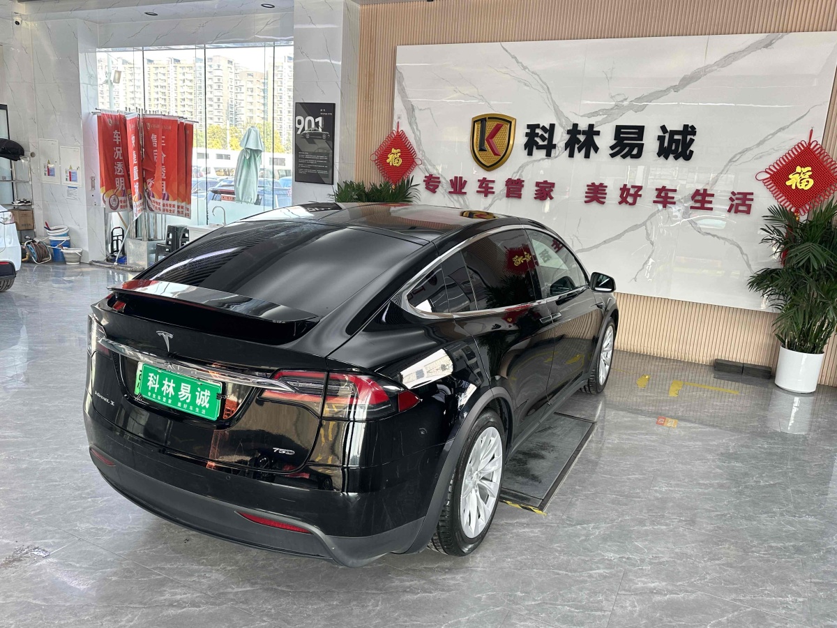 特斯拉 Model X  2016款 Model X 75D圖片