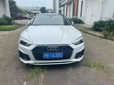 2021年1月 奧迪 奧迪SQ5(進(jìn)口) 3.0 TFSI quattro圖片