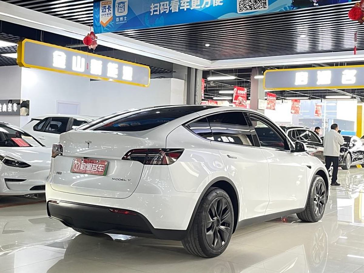 特斯拉 Model 3  2020款 改款 長續(xù)航后輪驅(qū)動(dòng)版圖片