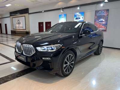 2020年4月 宝马 宝马X6(进口) xDrive40i M运动套装图片