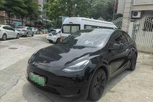 Model Y 特斯拉 Performance高性能版