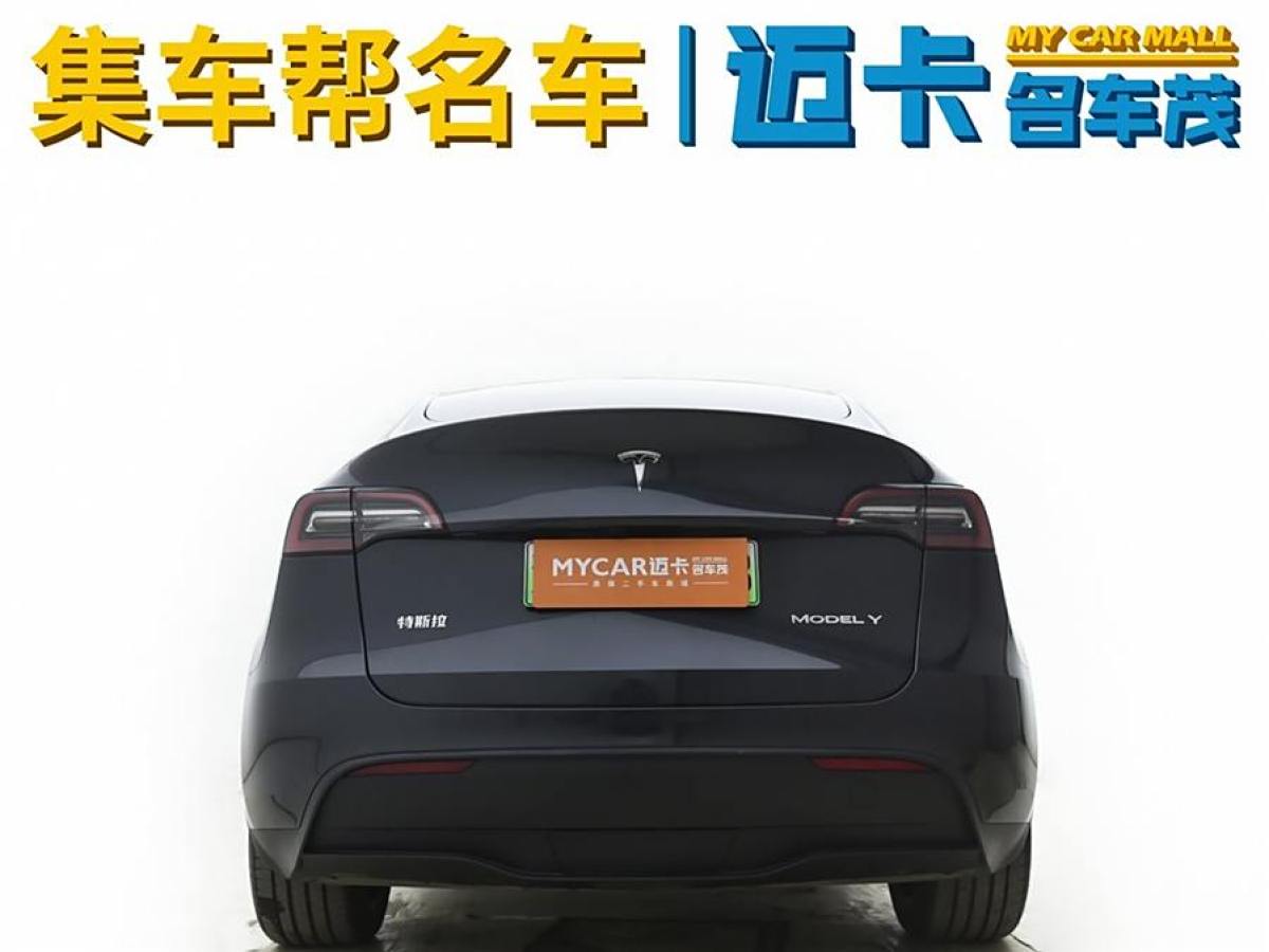 特斯拉 Model 3  2020款 改款 長續(xù)航后輪驅(qū)動版圖片