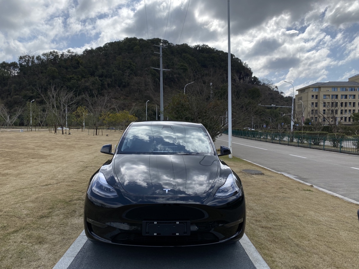 特斯拉 model y 2021款 標準續航後驅升級版圖片