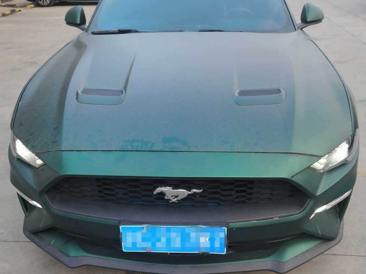 福特 Mustang  2020款 2.3L EcoBoost圖片