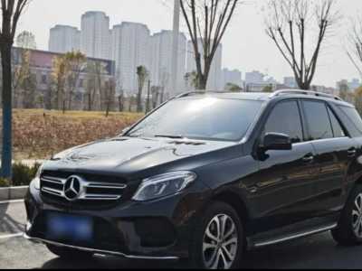 2018年5月 奔馳 奔馳GLE(進(jìn)口) GLE 320 4MATIC 動感型臻藏版圖片