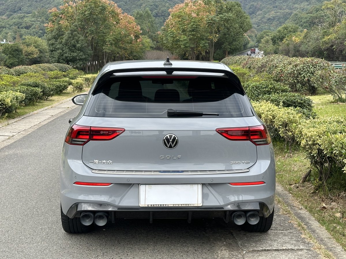 大眾 高爾夫  2021款 280TSI DSG Pro圖片