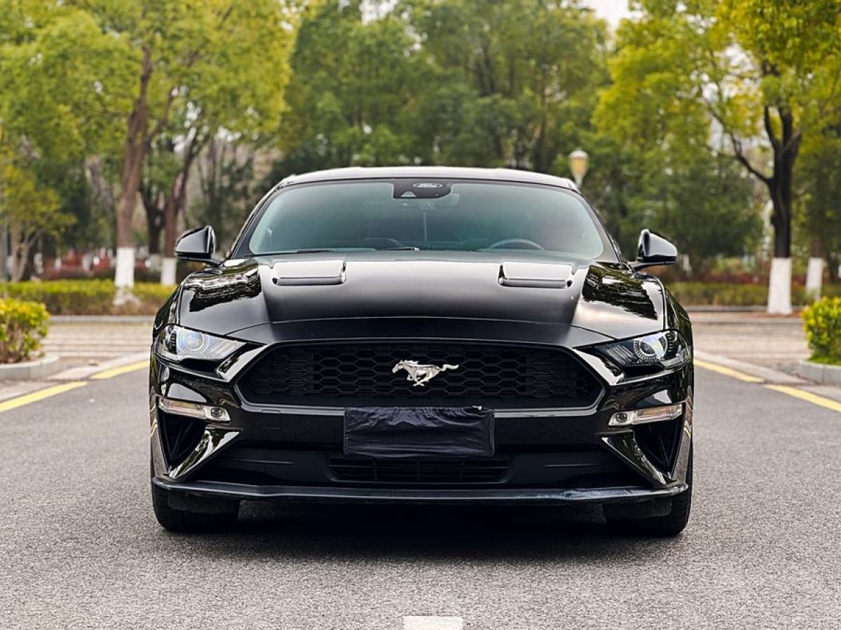 福特 Mustang  2021款 2.3L EcoBoost圖片