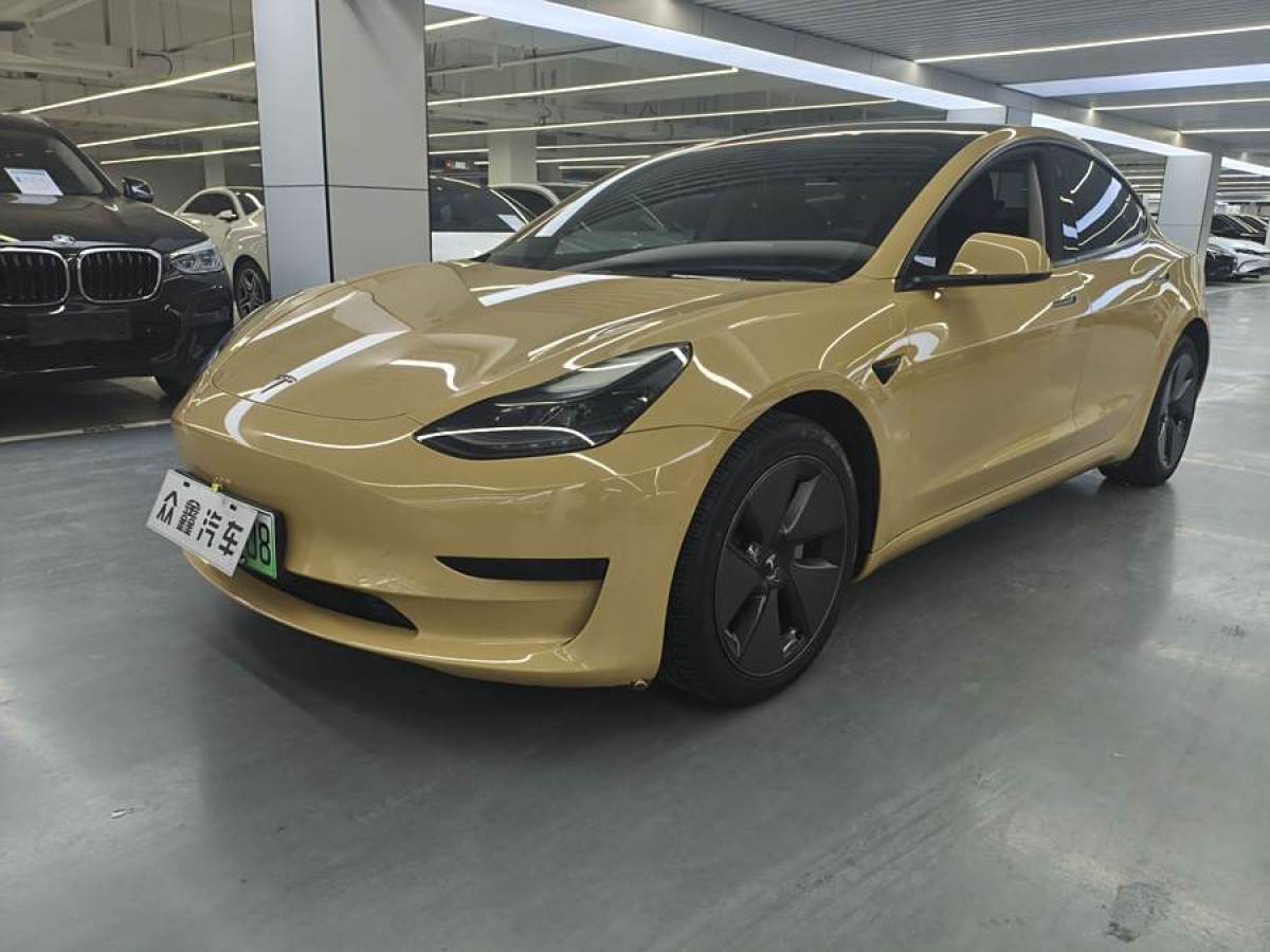 2021年6月特斯拉 Model 3  2021款 標(biāo)準(zhǔn)續(xù)航后驅(qū)升級(jí)版 3D6