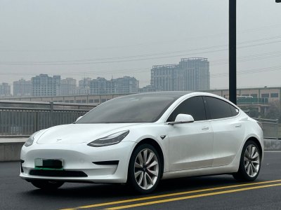 2020年11月 特斯拉 Model 3 標準續(xù)航后驅(qū)升級版圖片