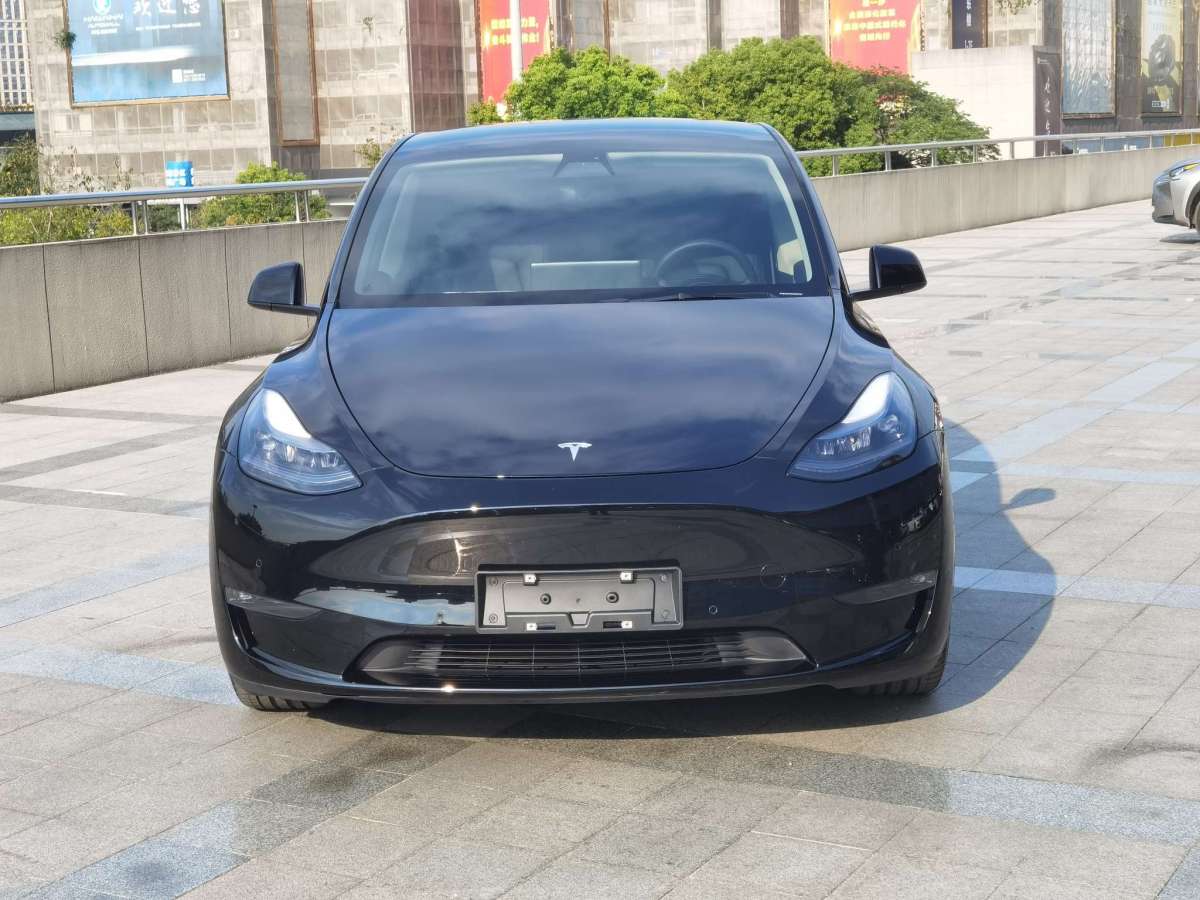 特斯拉 Model Y  2022款 Performance高性能全輪驅(qū)動(dòng)版圖片