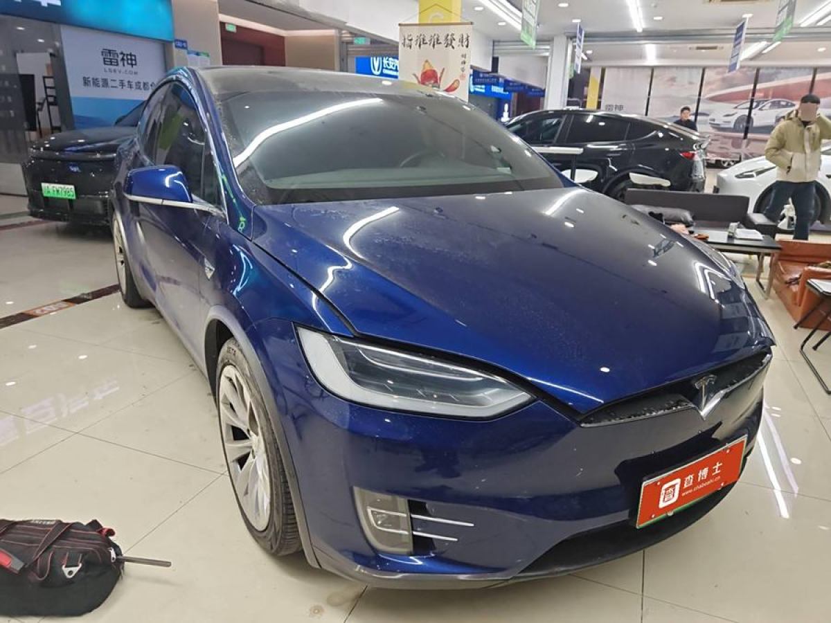 特斯拉 Model X  2017款 Model X 100D 長續(xù)航版圖片