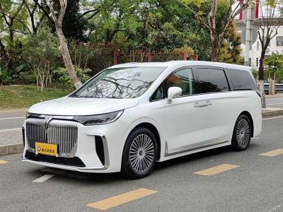 2024年11月 嵐圖 夢想家 PHEV 四驅(qū)旗艦鯤鵬版圖片