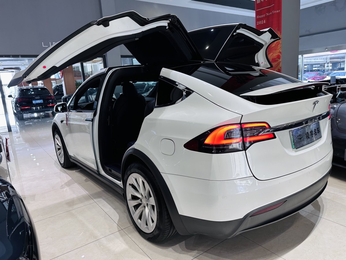 特斯拉 Model X  2019款 長續(xù)航版圖片