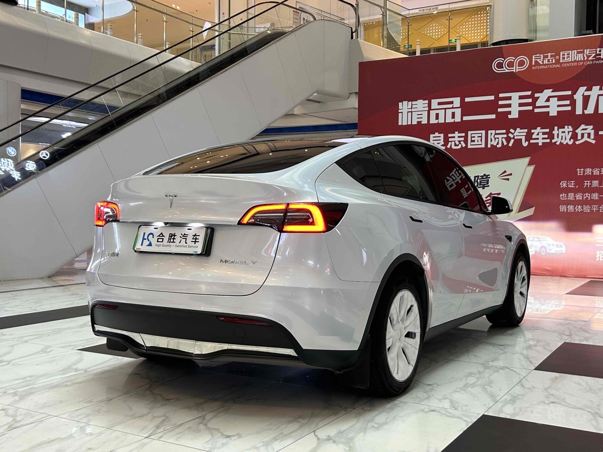 特斯拉 Model Y  2020款 改款 長續(xù)航后輪驅(qū)動版圖片