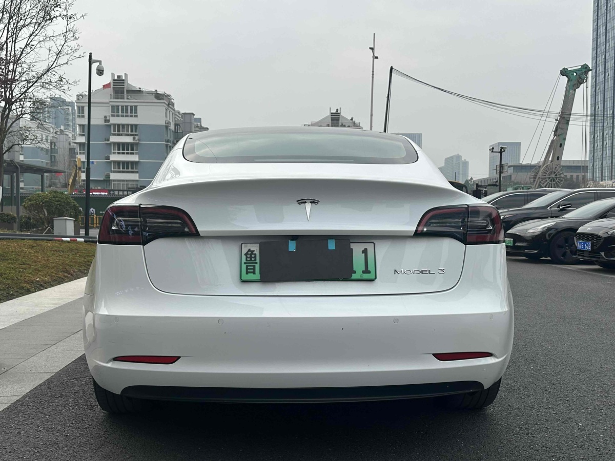 特斯拉 Model 3  2021款 標(biāo)準(zhǔn)續(xù)航后驅(qū)升級版 3D6圖片