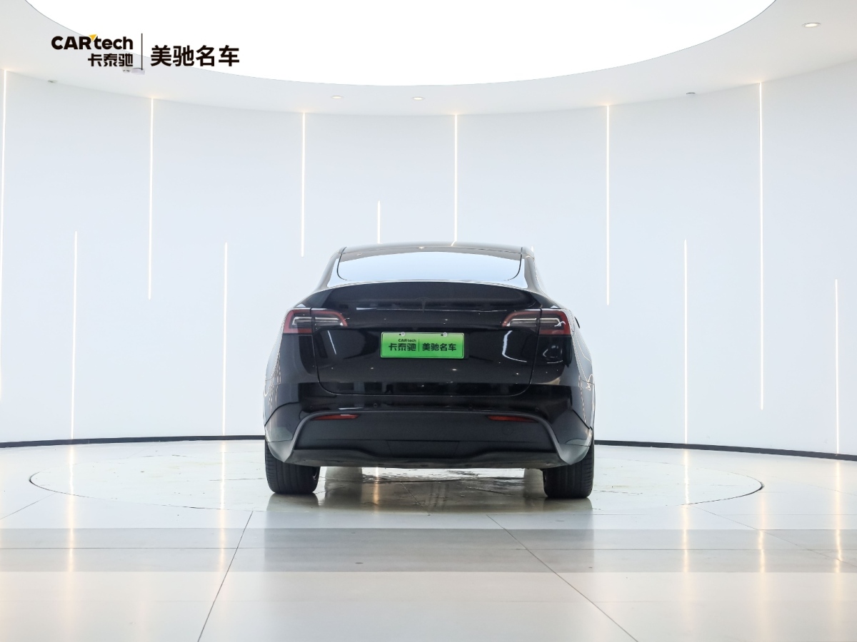 特斯拉 Model Y  2020款 Performance高性能全輪驅(qū)動(dòng)版圖片