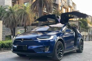 Model X 特斯拉 Model X 100D 長(zhǎng)續(xù)航版