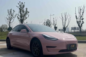 Model 3 特斯拉 标准续航后驱升级版