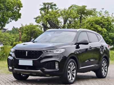 2019年1月 WEY VV6 2.0T 两驱超豪型图片