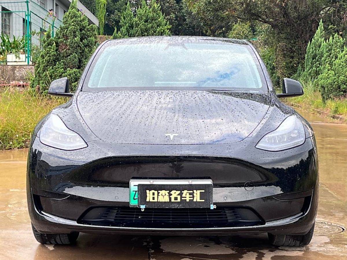 特斯拉 Model Y  2022款 后輪驅(qū)動版圖片