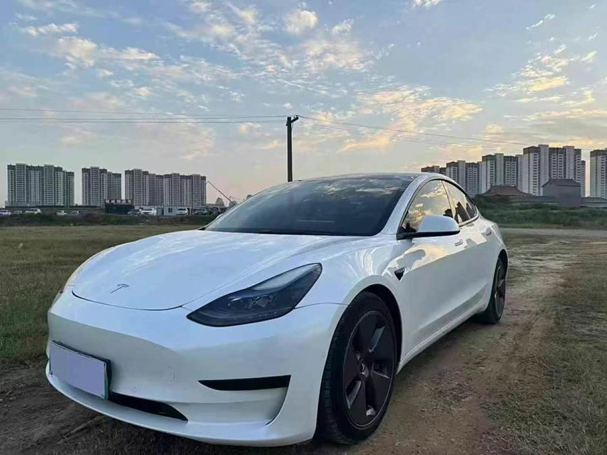 特斯拉 Model 3  2022款 改款 后輪驅(qū)動(dòng)版圖片