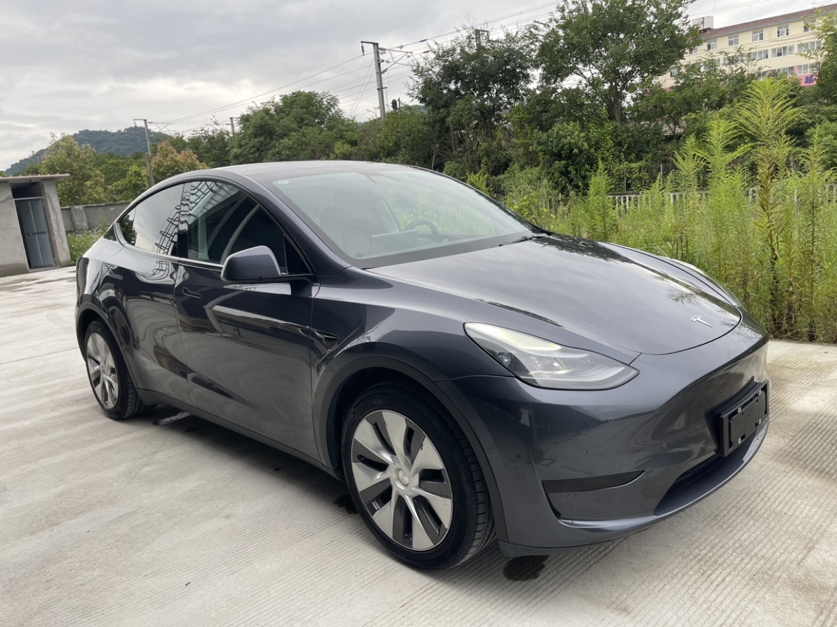 2022年3月特斯拉 Model 3  2022款 后驅(qū)版