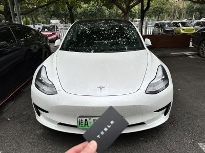 2020年1月 特斯拉 Model 3 標準續(xù)航后驅升級版圖片