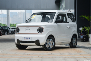 熊猫mini 吉利 200km 耐力熊