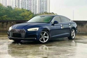 奥迪Q5 奥迪 典藏版 40 TFSI 技术型