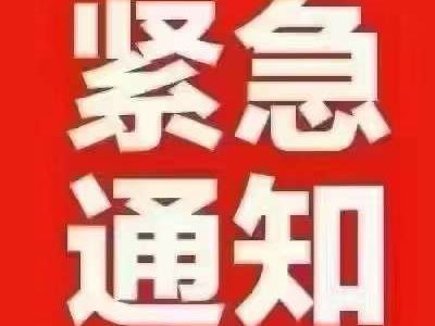 2025年1月 比亞迪 元 圖片