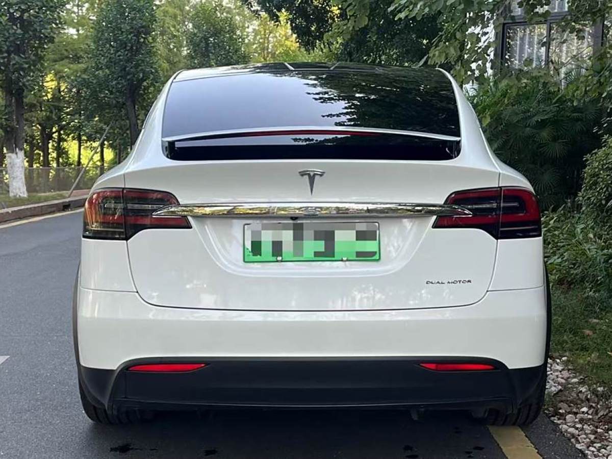 特斯拉 Model X  2019款 長(zhǎng)續(xù)航版圖片