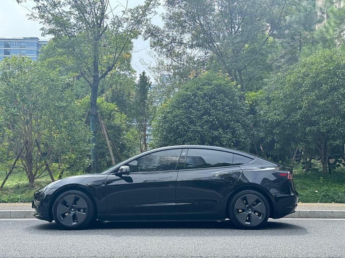 特斯拉 Model Y  2021款 改款 標準續(xù)航后驅(qū)升級版圖片