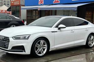 奧迪Q5 奧迪 典藏版 40 TFSI 技術(shù)型