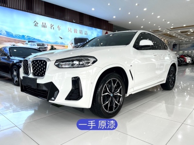 2023年10月 宝马 宝马X4(进口) xDrive25i M运动套装图片