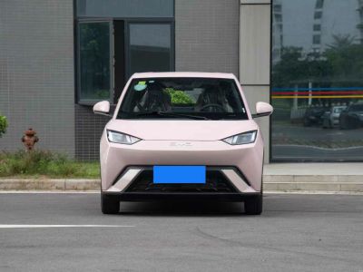 2024年8月 比亞迪 宋L 550km 卓越型圖片