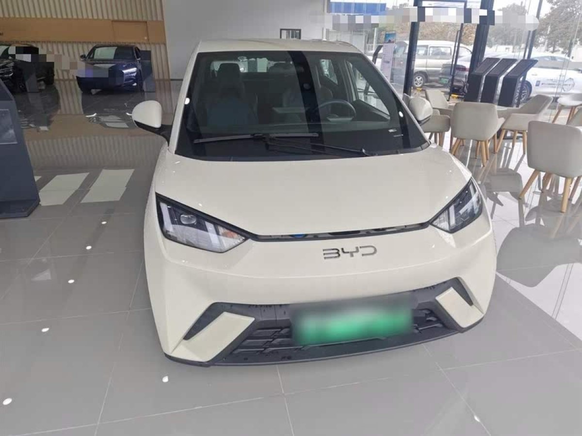 比亞迪 海鷗  2024款 榮耀版 405km 飛翔版圖片
