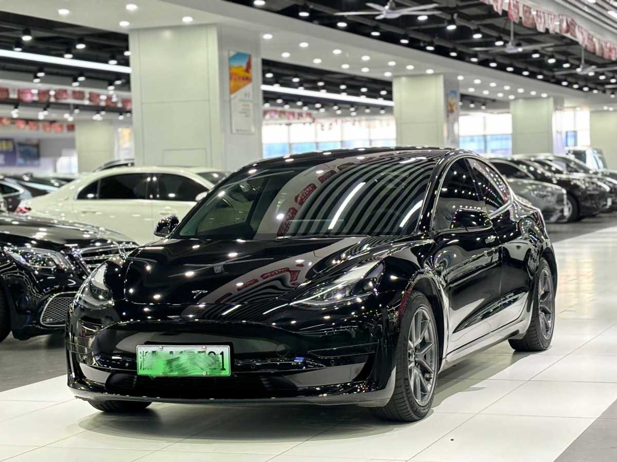 特斯拉 Model 3  2019款 標(biāo)準(zhǔn)續(xù)航后驅(qū)升級(jí)版圖片