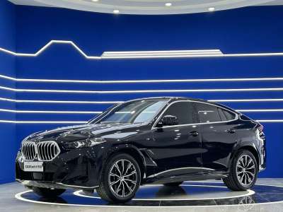 寶馬 寶馬X6(進(jìn)口) xDrive30i M運(yùn)動(dòng)套裝圖片