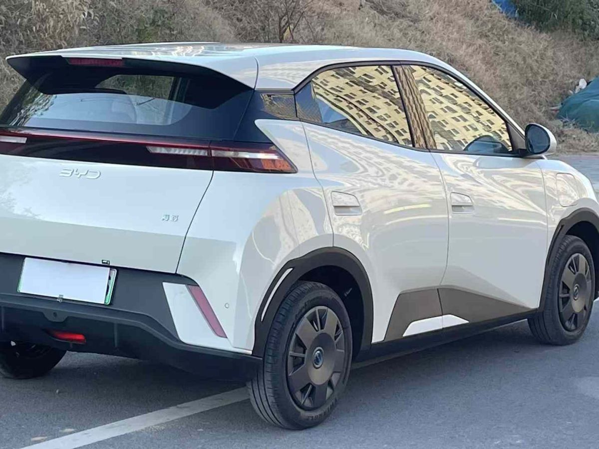 比亞迪 宋L DM-i  2024款 112km 超越型圖片