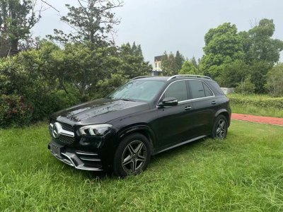 2019年6月 奔馳 奔馳GLE(進(jìn)口) GLE 350 4MATIC 時尚型圖片