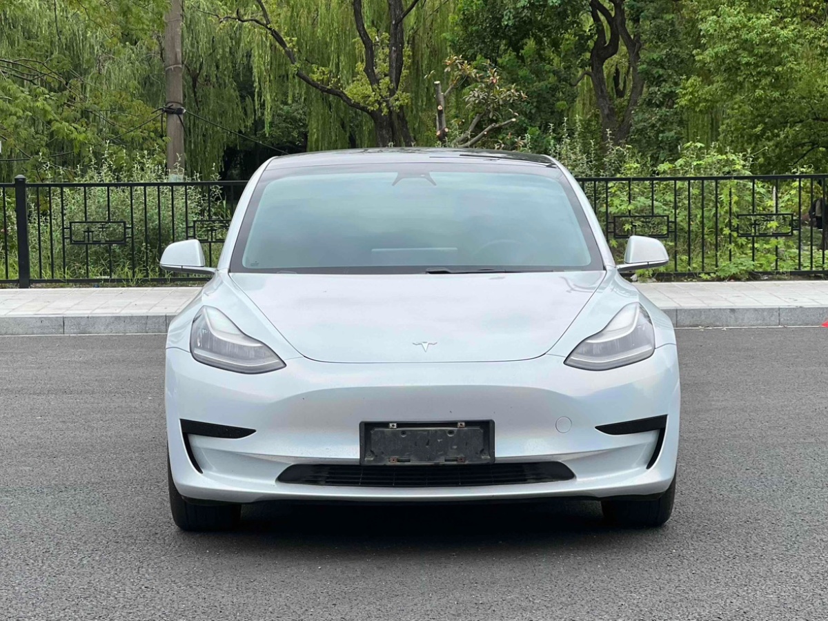 特斯拉 Model 3  2019款 標(biāo)準(zhǔn)續(xù)航后驅(qū)升級(jí)版圖片