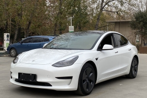 Model 3 特斯拉 標準續(xù)航后驅(qū)升級版