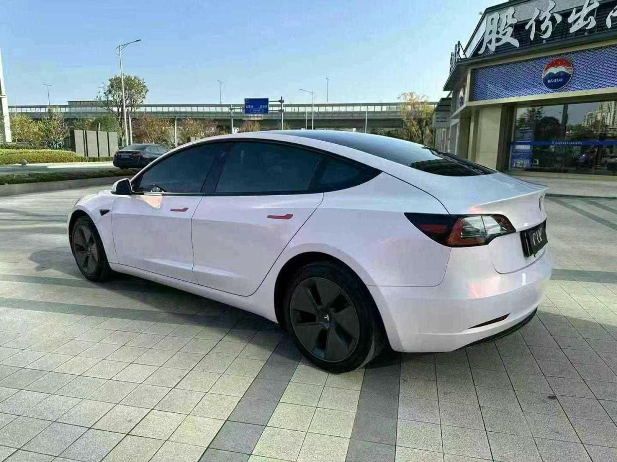 特斯拉 Model S  2023款 三電機(jī)全輪驅(qū)動(dòng) Plaid版圖片